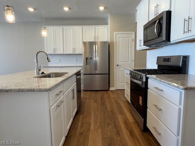 Renaissance Park at Geauga Lake - Residential