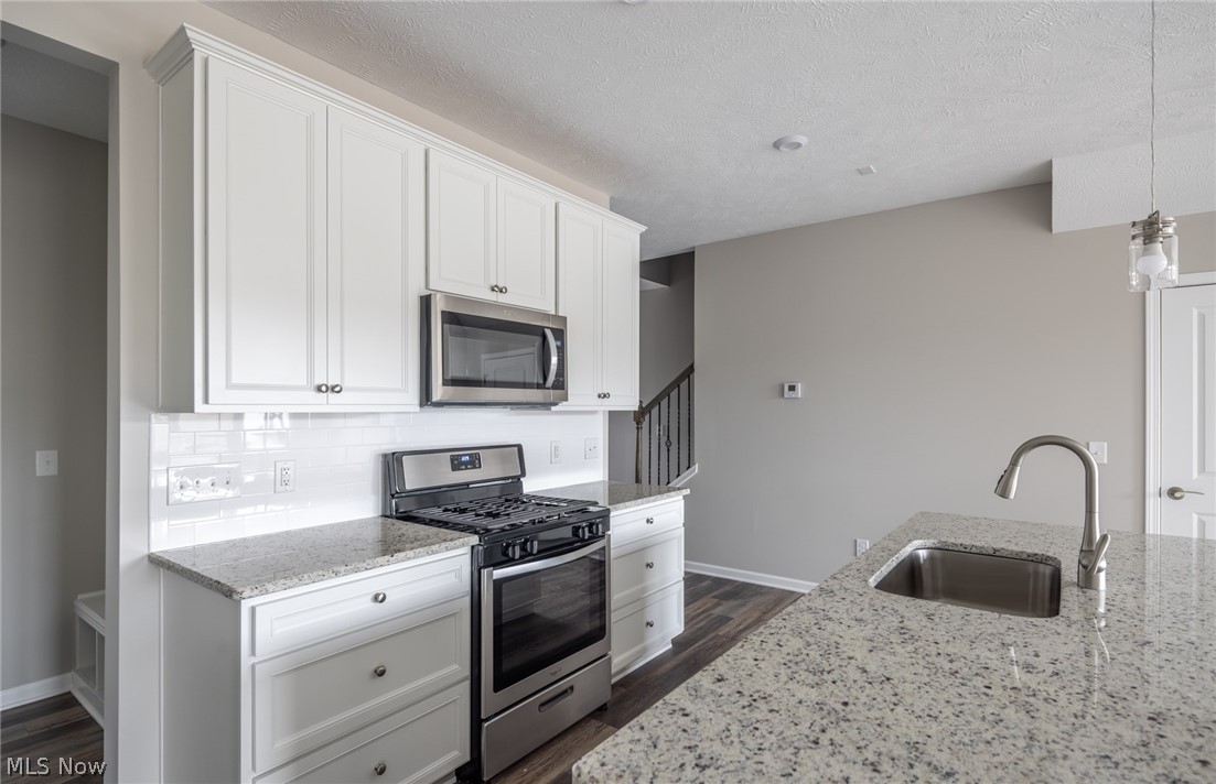 Renaissance Park at Geauga Lake - Residential