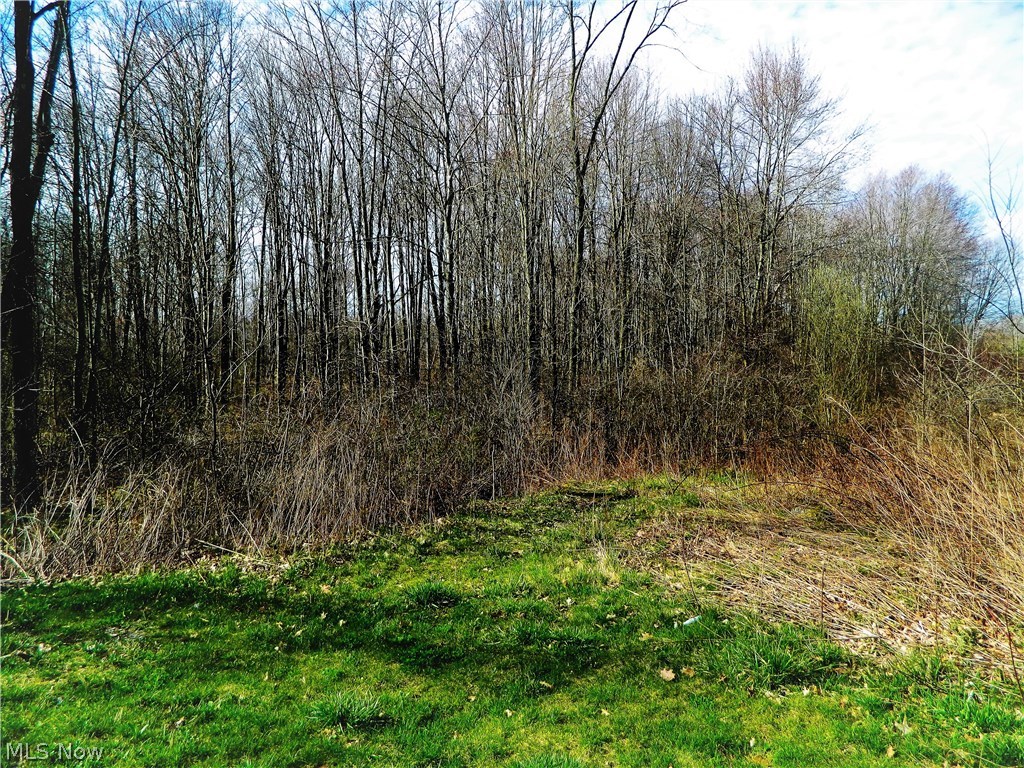 Lexington Place SD - Land