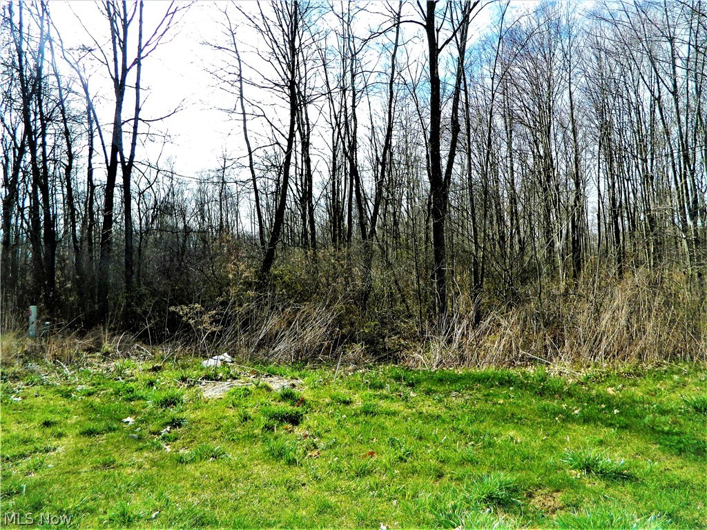 Lexington Place SD - Land