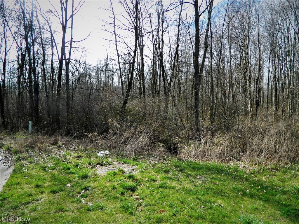 Lexington Place SD - Land