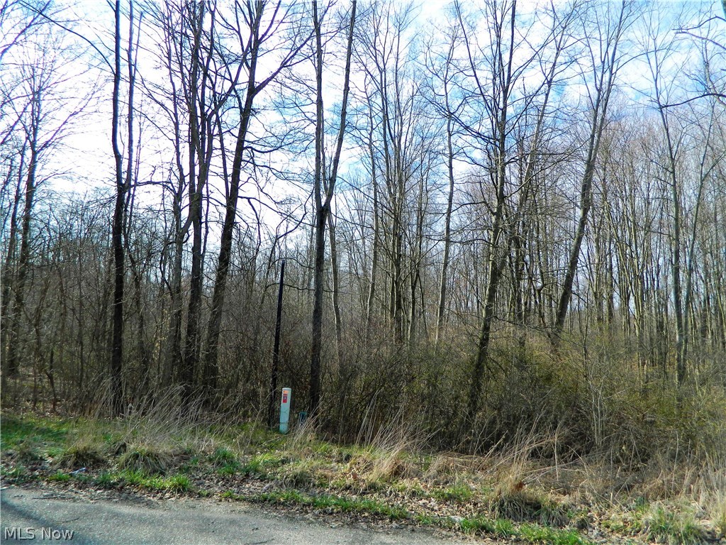 Lexington Place SD - Land