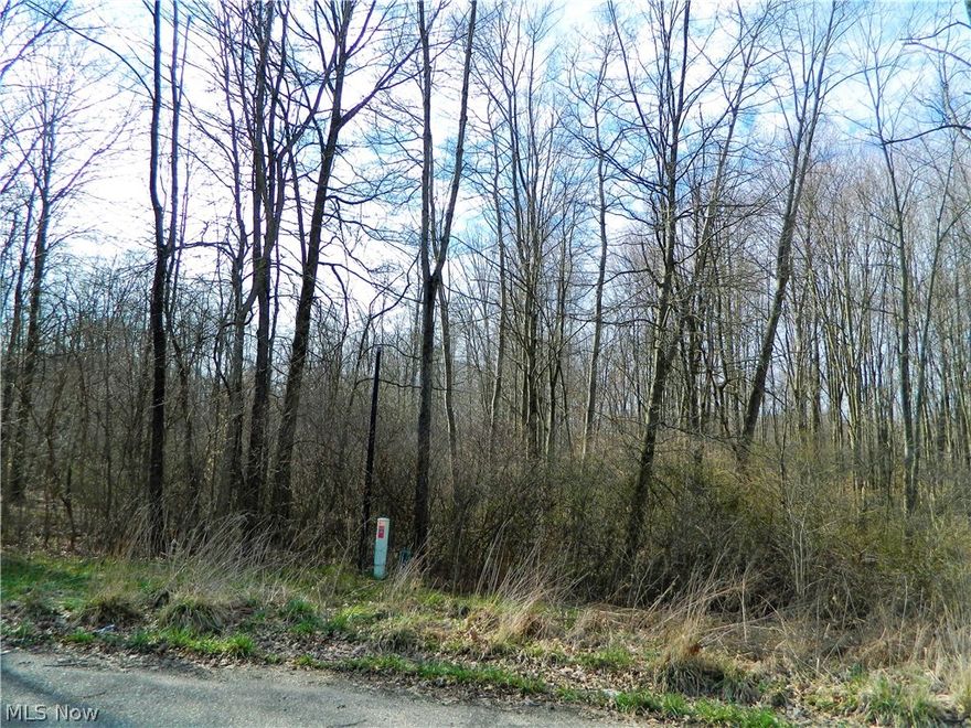 Wonderful 1.725 acres of land in Lexington Place. This is a wonderful established subdivision with newer built homes in Rootstown Township offering Rootstown Schools(Ravenna mailing address). Build your dream home on this cul-de-sac which has public sewer, public water, and underground electric service available. The adjacent lot at 3307 Tippecanoe which is 2.417 acres is also available as a packet deal with 4733 Lexington for $90,000.00  Go and view lots and call for more information or to make an offer....while they are still available.