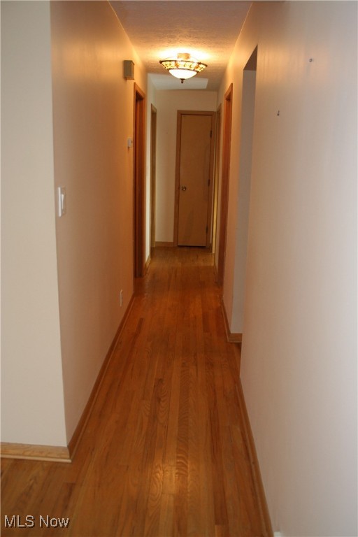 300 Calvin Drive 300 & 304