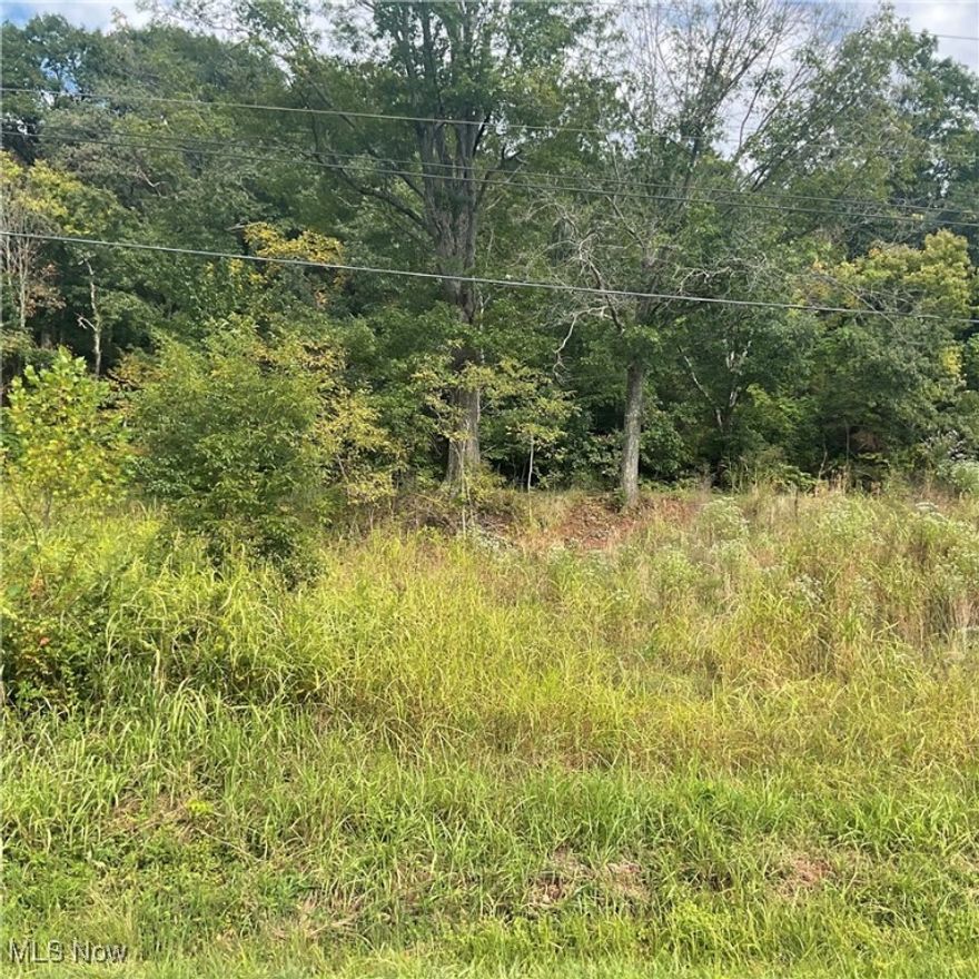 Vacant land with established building site. Located just off the main roadway with easy access for commuting to Ripley, Ravenswood, or Parkersburg. Peaceful setting while convenient to Jackson County amenities. Utilities available nearby.