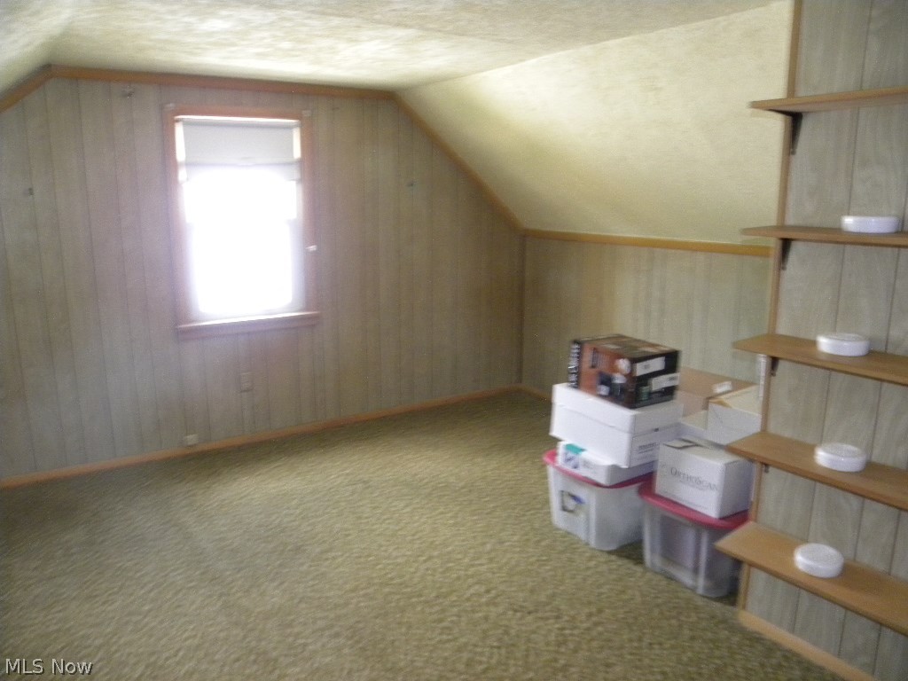 Mapledale Allotment - Residential