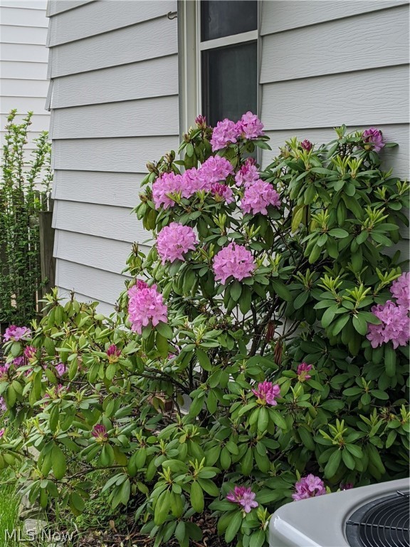 Morrison - Residential