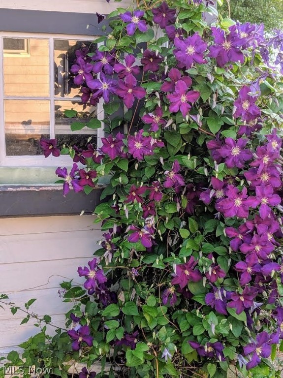 Morrison - Residential