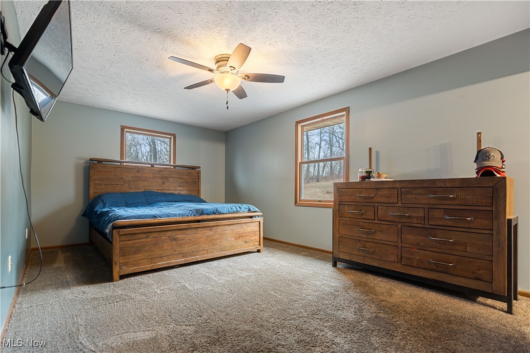 11771 Barrs Road, Massillon, Ohio image 14