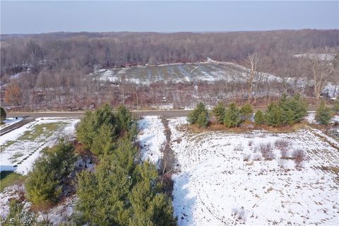 Vacant Land For Sale - Maple Road<br/> Ashtabula County, Jefferson, OH 44047