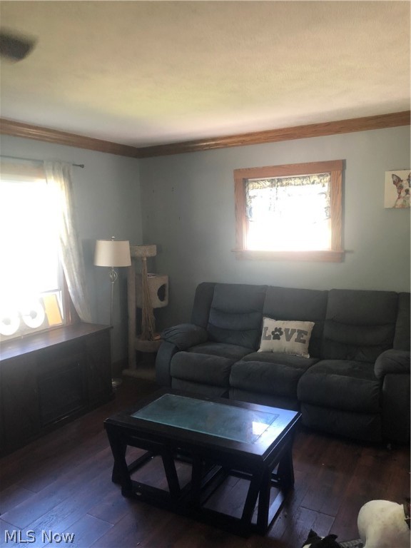 Louden-Amidon Allotment - Residential