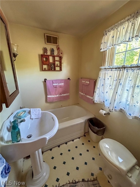 Main image without alt text