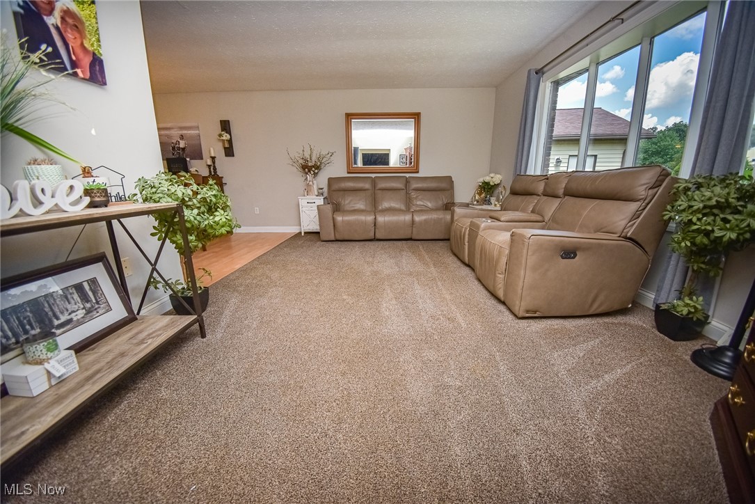 10266 Huntington Park Drive