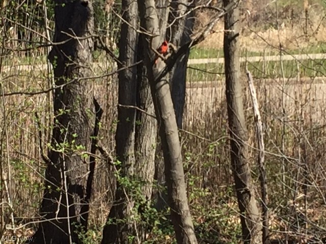 Heath Lane Condo - Residential