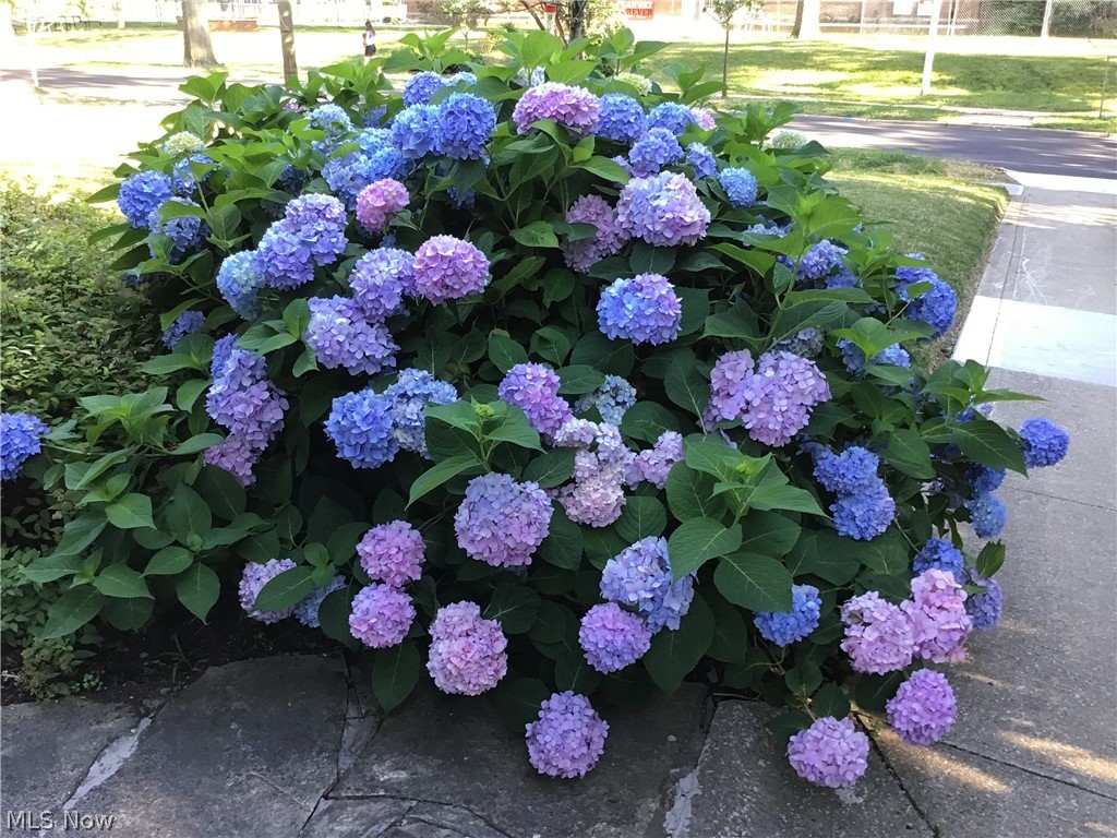 Van Sweringen Cos 07 - Residential