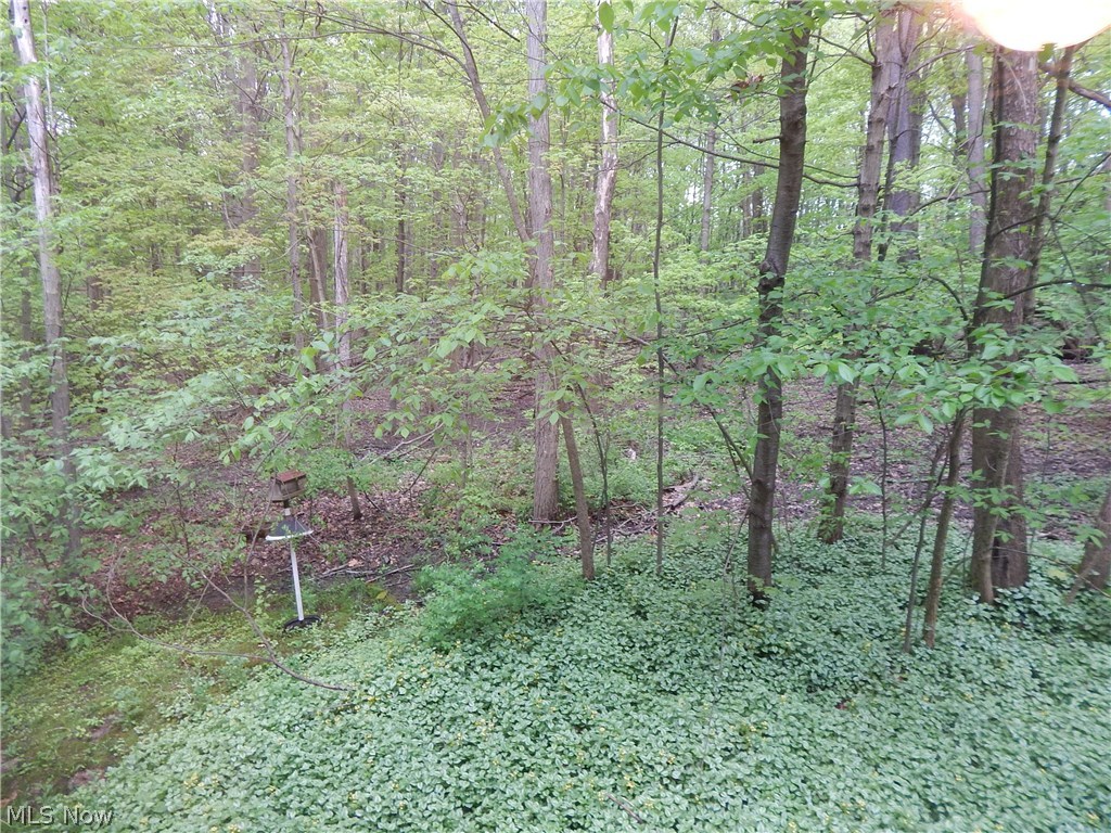 Silver Maple Condo - Residential