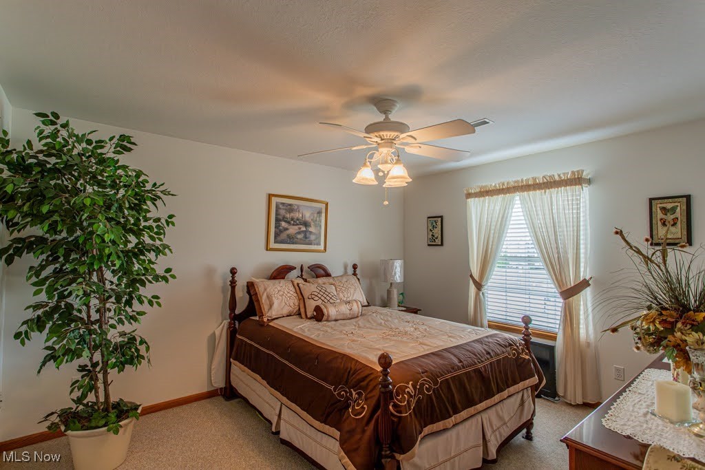 3605 Villa Rosa Drive, Canfield, Ohio image 37