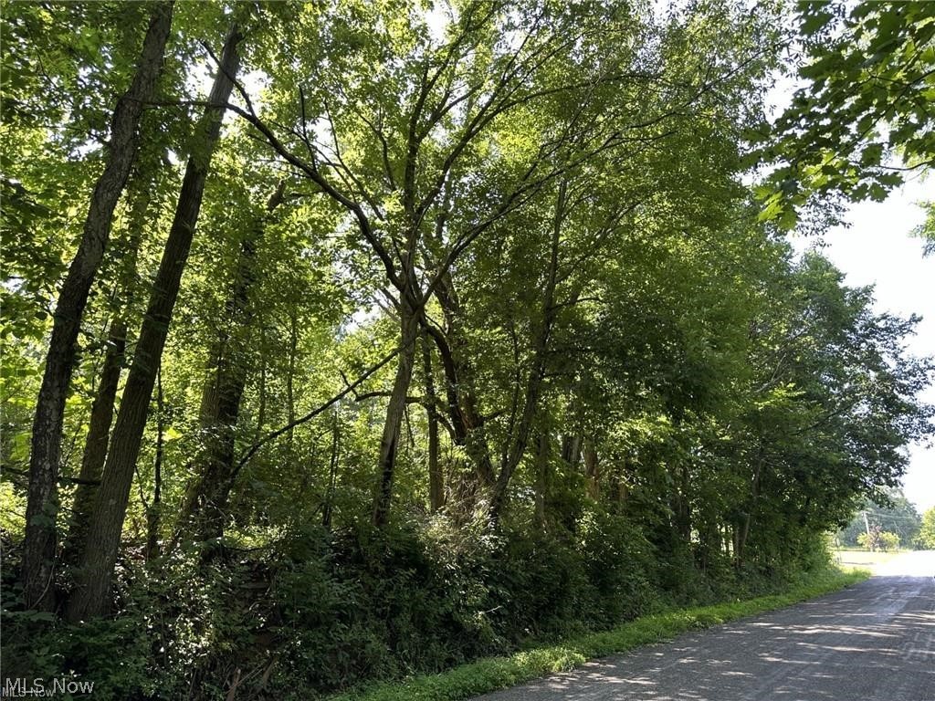 Beautiful wood lot ready for development. Large enough for apartments or your new home. Conveniently located near Belmont College.