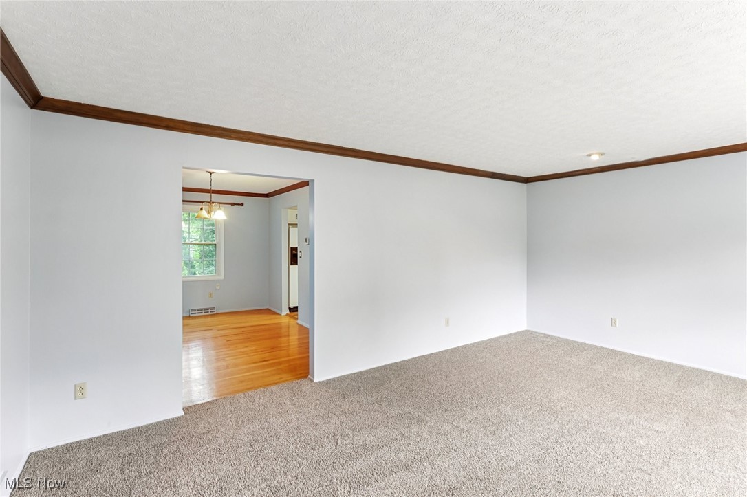 Woodpark Estates Allotment - Residential