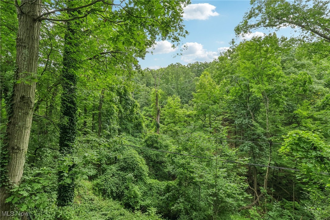 Woodpark Estates Allotment - Residential