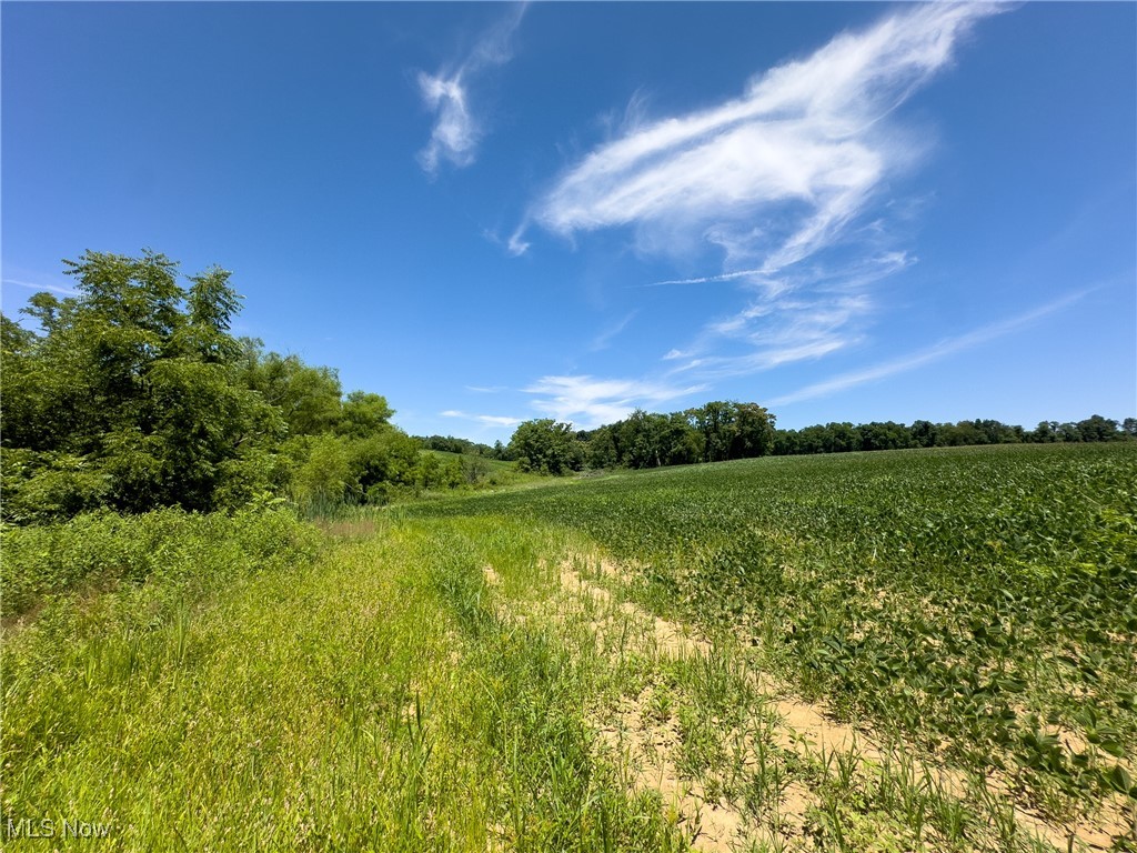 Trapp Lane, Hopewell, Ohio image 4