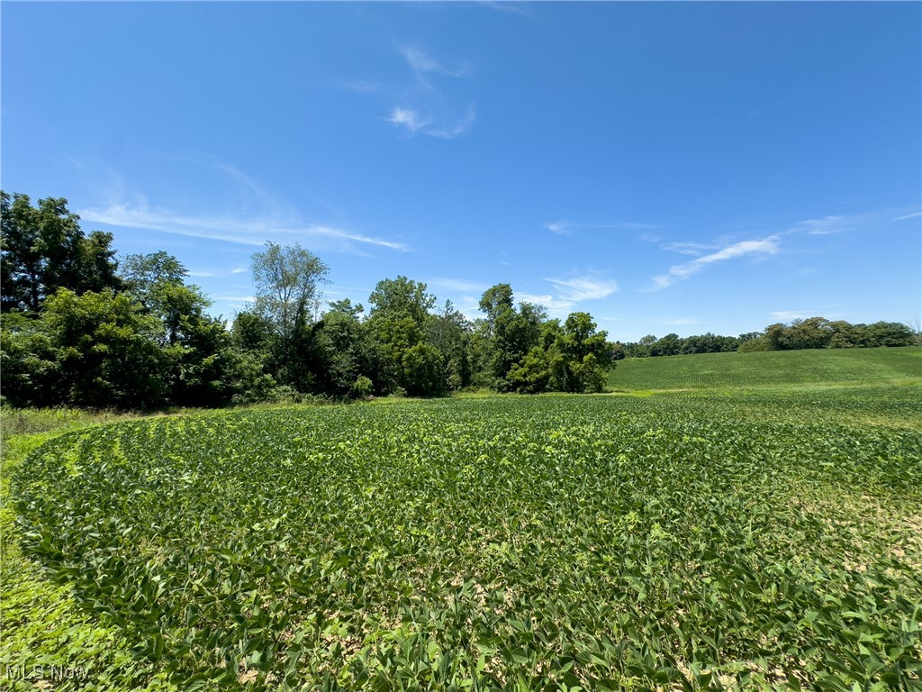 Trapp Lane, Hopewell, Ohio image 1