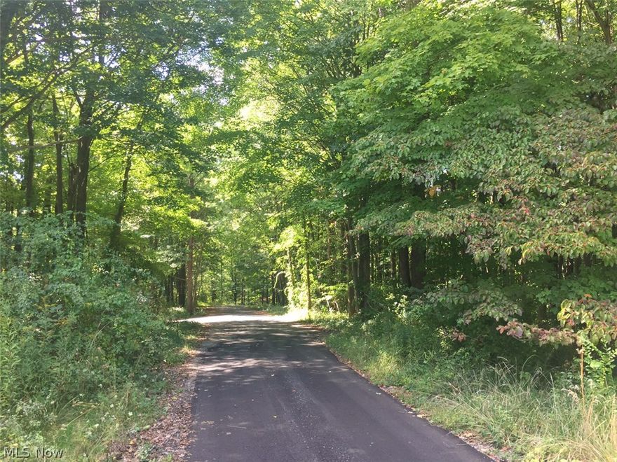 Public auction Monday, October 26, 2015 at 5 PM. Opportunity is knocking! This 18.5 acre property in Wooster features a 7200 SF building with an indoor basketball court, shop area with car lift, racks for storage, 4 overhead doors, heat/AC, full bath, and kitchenette. Build your own dream home. This is a a rare opportunity to purchase at public auction whether looking for space to play or build a home.