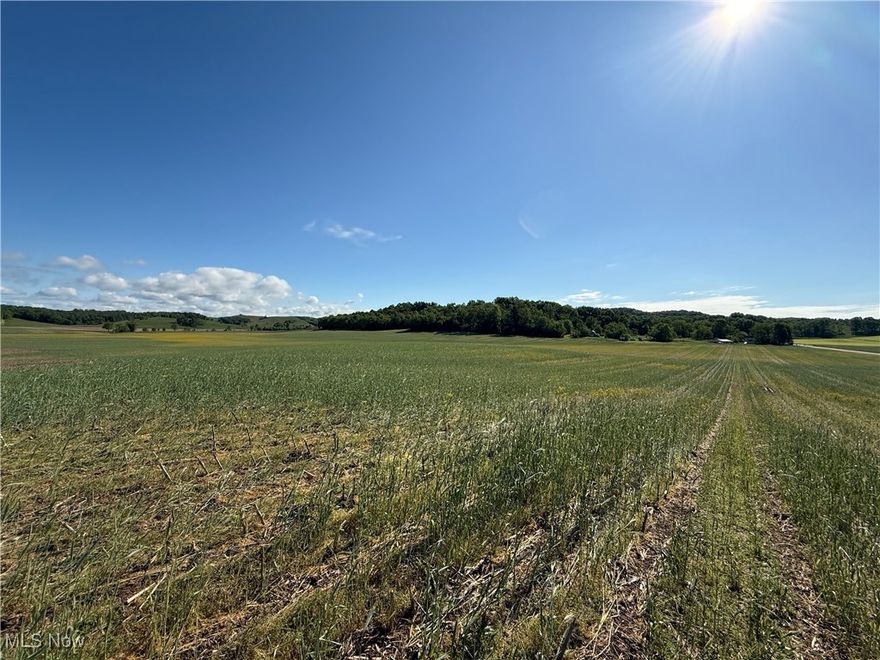 Do not miss the opportunity to own this beautiful generational farm located in West Lafayette! The property is a total of 133.3 acres just off OH- 93 and is in a highly desirable area. It features open and flat, tillable acreage for agricultural or recreational use. With a large amount of road frontage, this location would be ideal for building your dream home. Whether you're a developer, farmer, or outdoor enthusiast, this land offers endless potential. Truly a must see! All mineral rights owned by seller will transfer to the buyer. Do not miss the opportunity to make this farm yours!