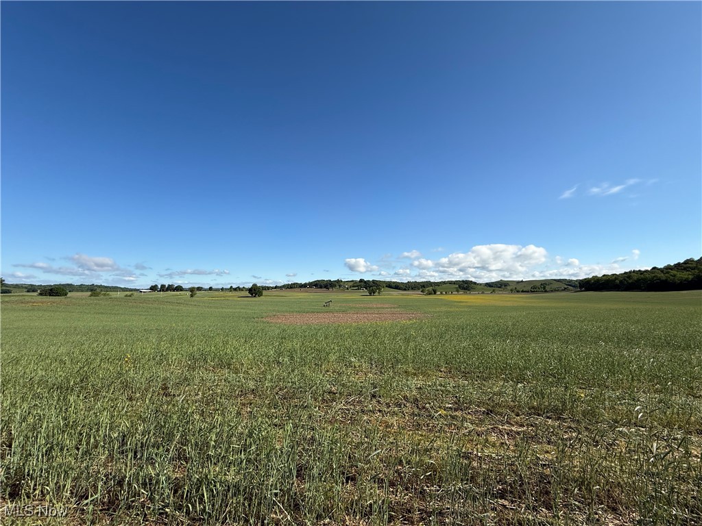 Township Road 154, West Lafayette, Ohio image 7