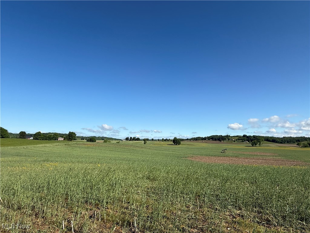 Township Road 154, West Lafayette, Ohio image 15