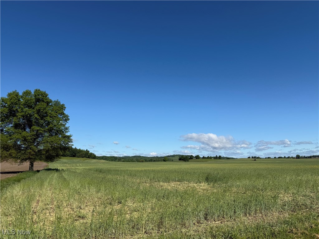 Township Road 154, West Lafayette, Ohio image 25