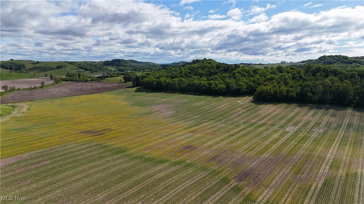 Township Road 154, West Lafayette, Ohio image 6