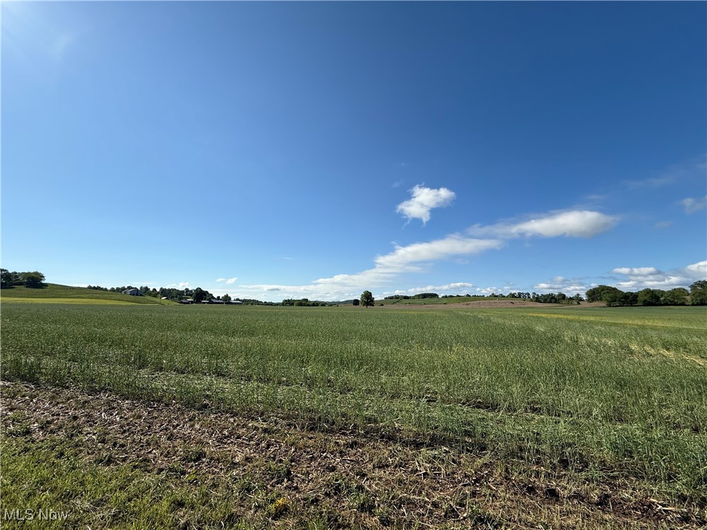 Township Road 154, West Lafayette, Ohio image 9