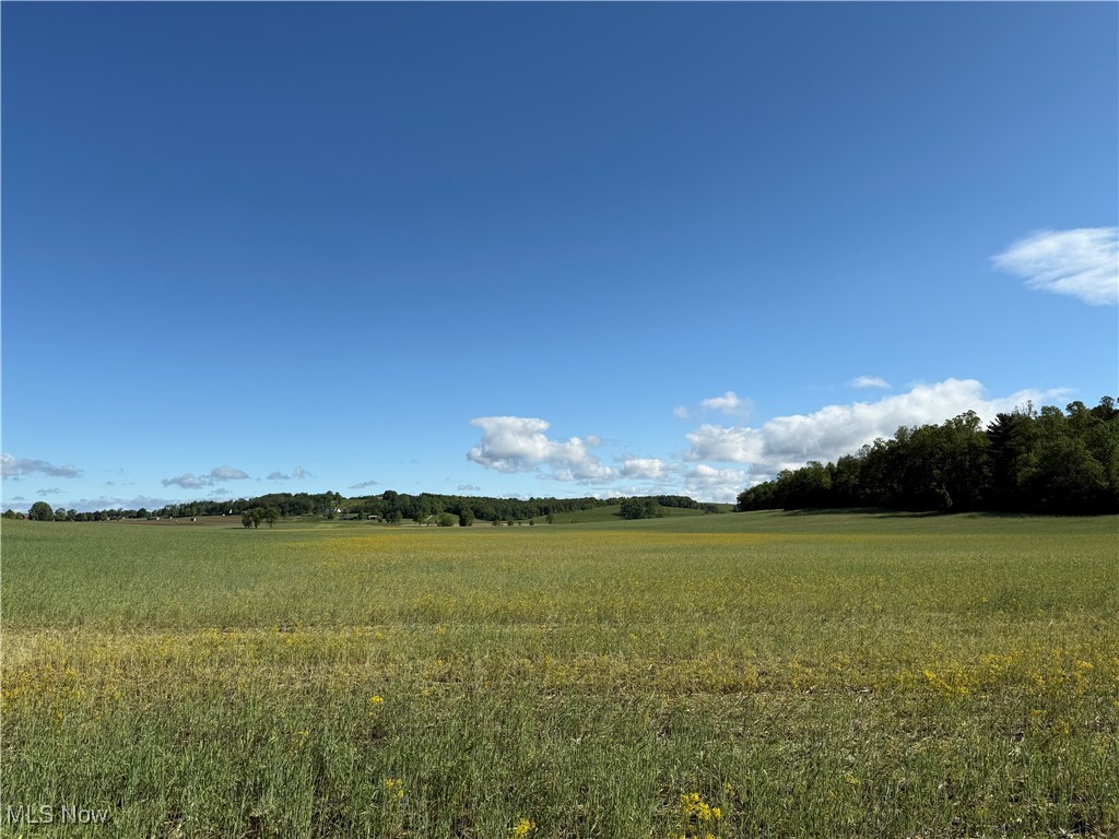 Township Road 154, West Lafayette, Ohio image 13
