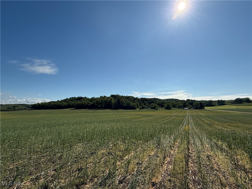 Township Road 154, West Lafayette, Ohio image 11
