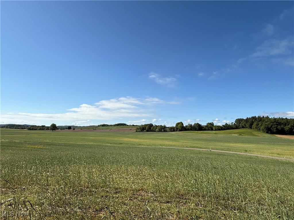 Township Road 154, West Lafayette, Ohio image 17