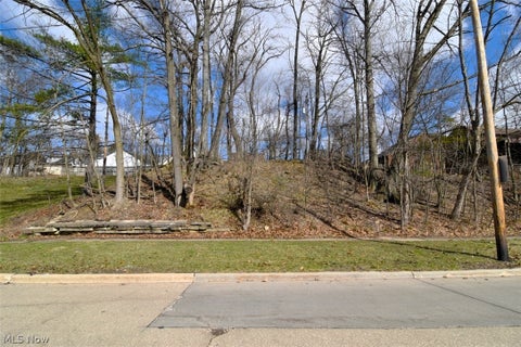 Photo for Meadowbrook Boulevard