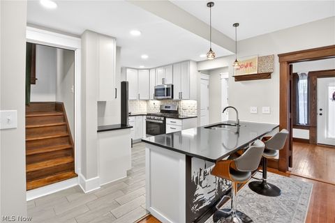 Tiny photo for 3205 Mapledale Avenue, Cleveland, OH 44109 (MLS # 5202740)