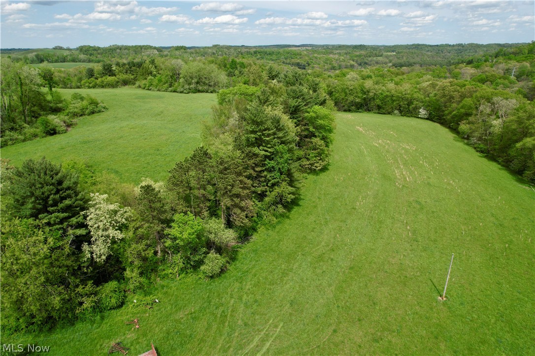 4101 Peace Road, Carrollton, Ohio image 41