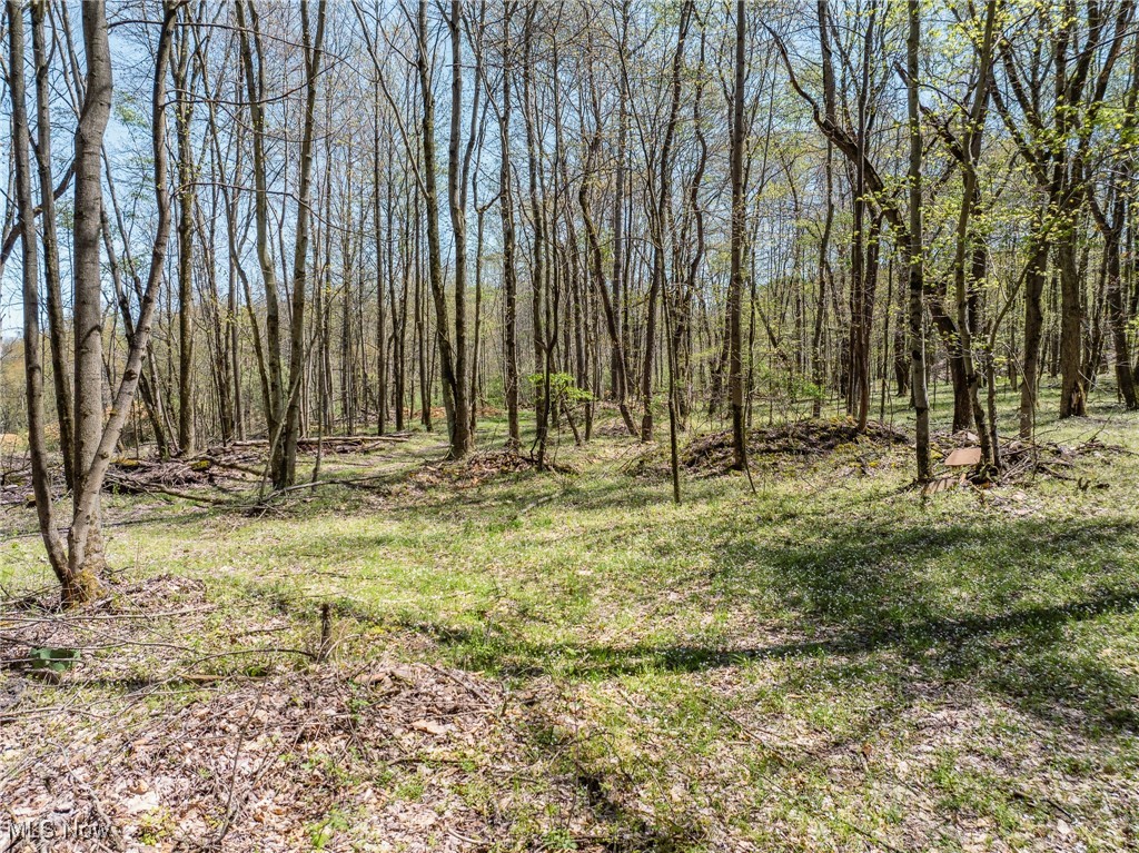 W Saratoga Avenue, Youngstown, Ohio image 6