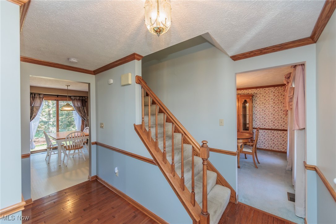 Terrace Glen - Residential