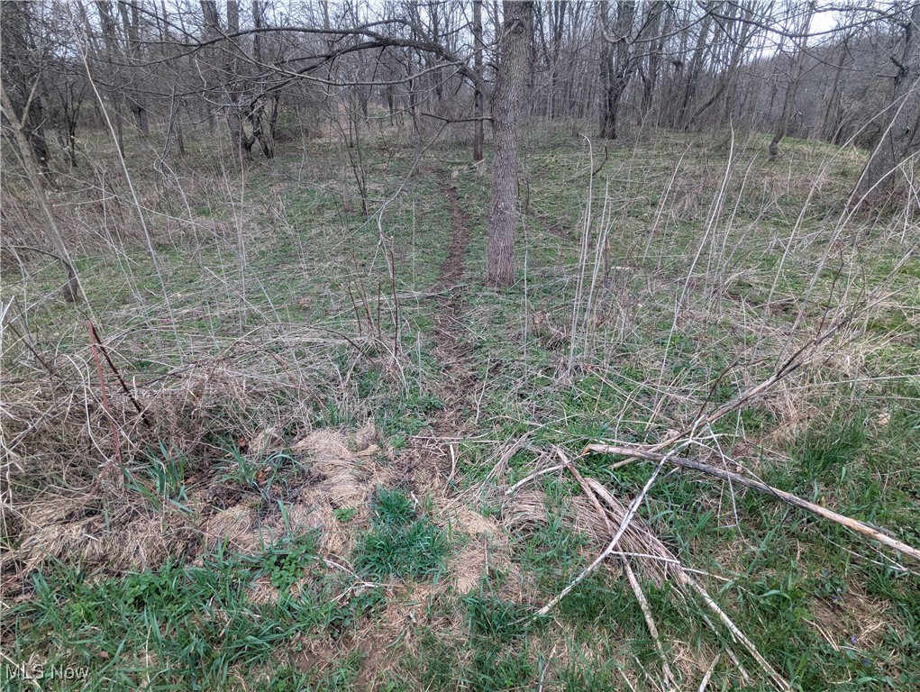 Burrier Road, Jewett, Ohio image 8
