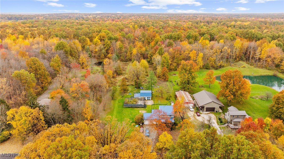 496 Everett Hull Road, Cortland, Ohio image 9