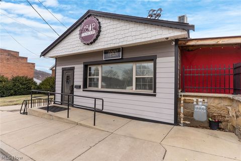 127 N Beaver Street Lisbon OH 44432