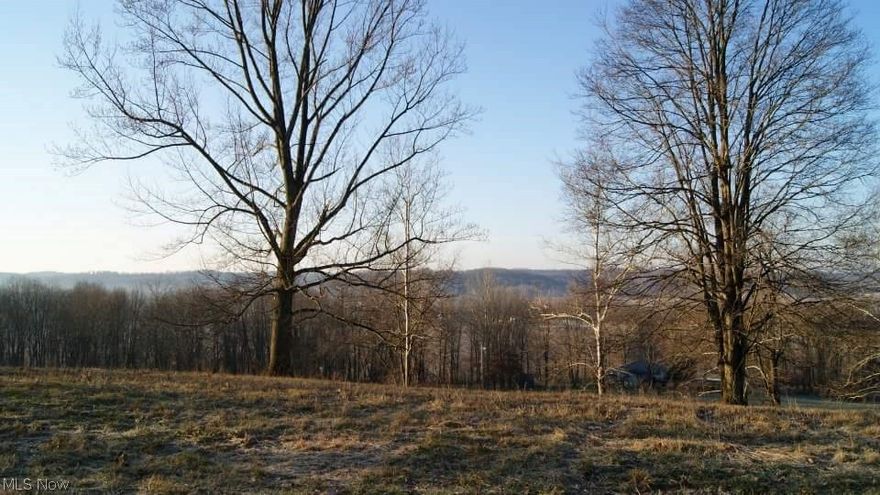 Beautiful 5 acre build-able lot! River View Schools. Fantastic views of surrounding area. Has great hunting potential. Deed restrictions-no mobile or modular homes. Directions from 36 West in Coshocton, turn right on County Road 28 (at Gospel Hill Sign) turn right on County Road 24 - Township Rd 408 off County Road 24