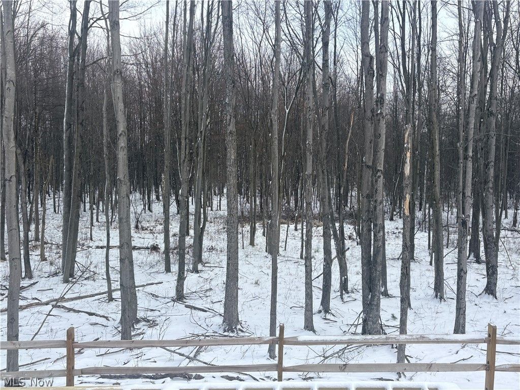 Photo of 4127 Averi Lane, Orange, OH 44122 (MLS # 5194001)