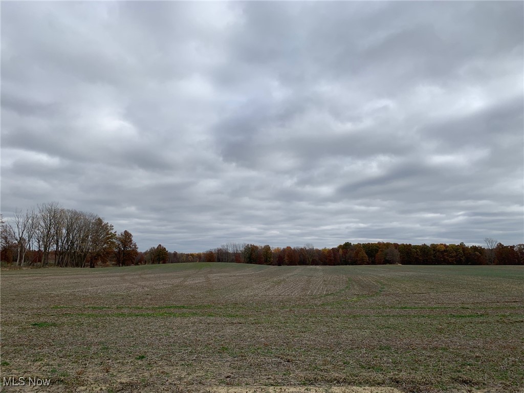 V/L Township Road 391, Sullivan, Ohio image 7