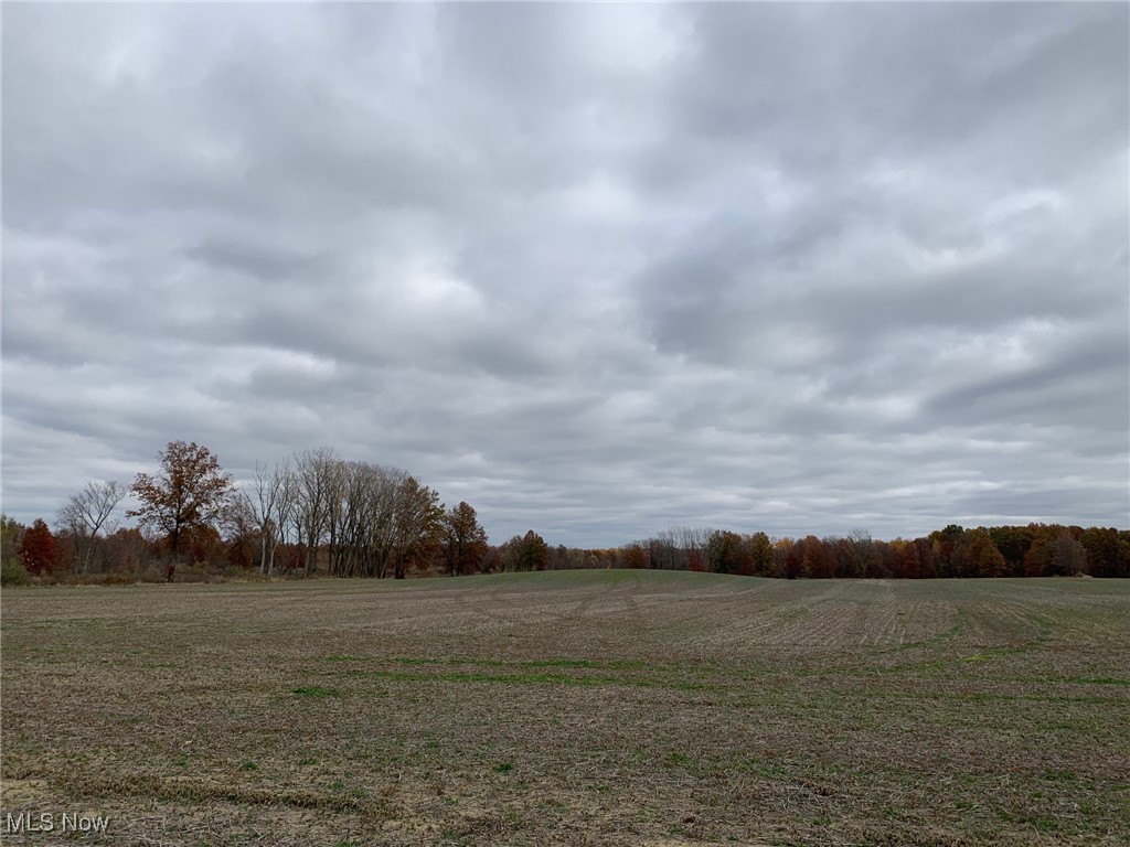 V/L Township Road 391, Sullivan, Ohio image 8