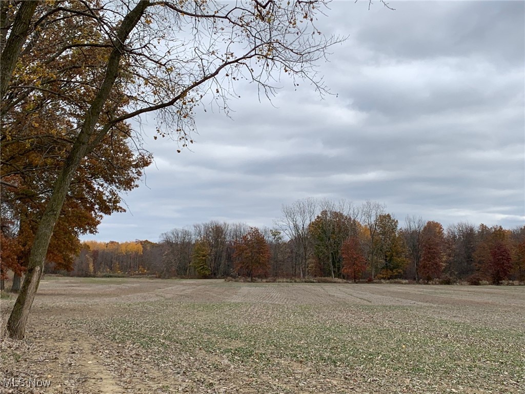 V/L Township Road 391, Sullivan, Ohio image 17