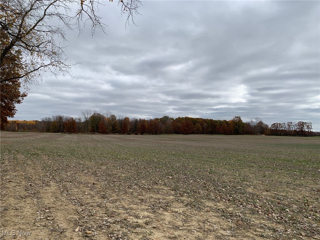 V/L Township Road 391, Sullivan, Ohio image 19